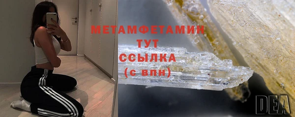 шишки Медвежьегорск