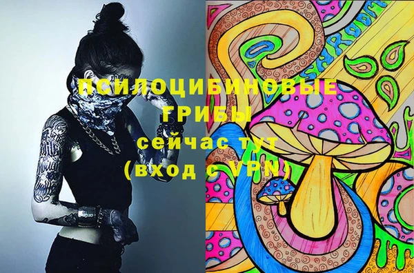 шишки Медвежьегорск