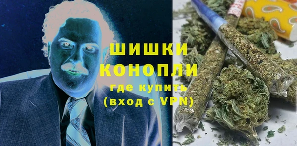 шишки Медвежьегорск