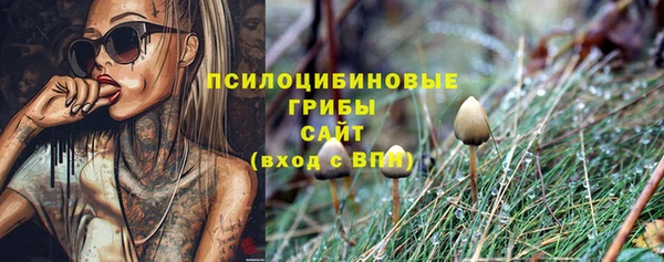 кристаллы Мегион