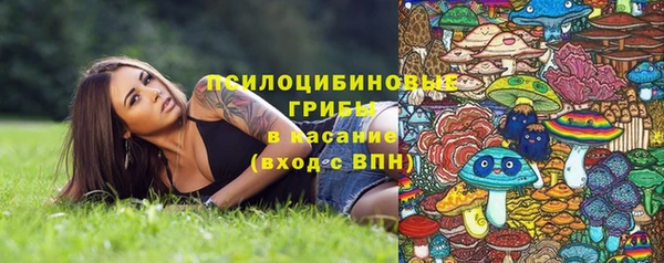 молекула духа Медногорск