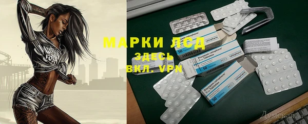 шишки Медвежьегорск