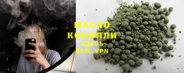 шишки Медвежьегорск