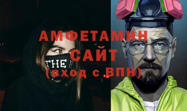 шишки Медвежьегорск