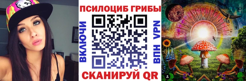 Псилоцибиновые грибы Psilocybine cubensis  Северо-Курильск 