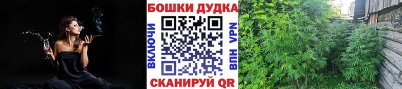 mega ТОР  Северо-Курильск  Марихуана Amnesia  цены наркотик 